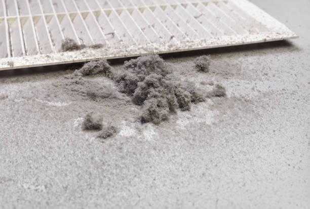 Best Professional Duct Cleaning Services  in Amherst, VA