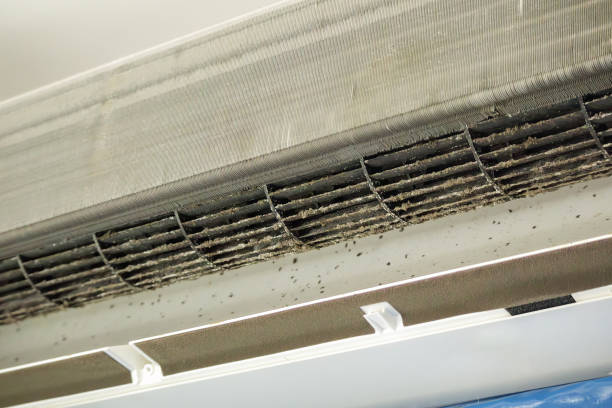 Best Residential Air Duct Cleaning  in Amherst, VA