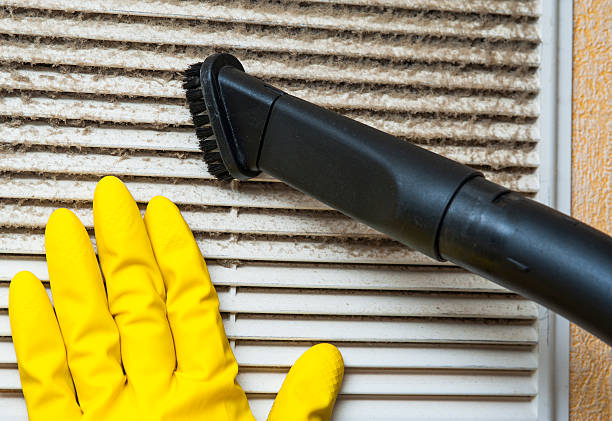 Best Home Air Vent Cleaning  in Amherst, VA